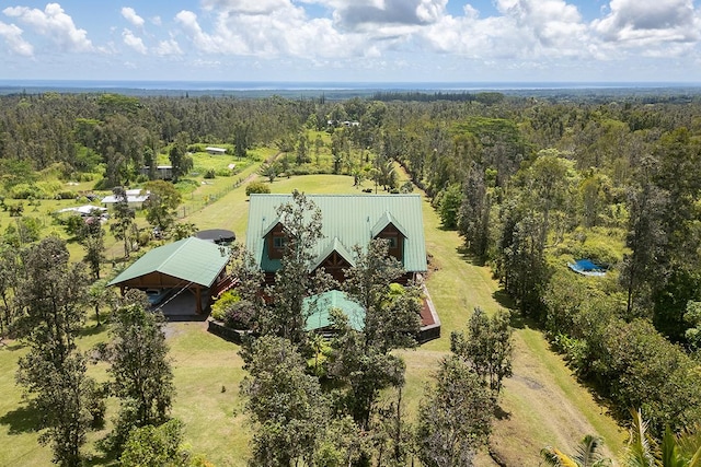 16-1125 Poouli Rd, Kurtistown, HI 96760 - photo 29