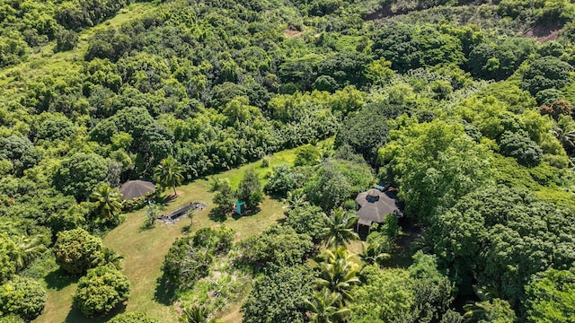 6565-C Koolau Rd, Anahola, HI 96746