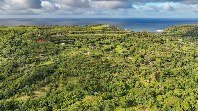 6565-C Koolau Rd, Anahola, HI 96746
