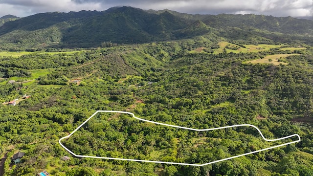 6565-C Koolau Rd, Anahola, HI 96746