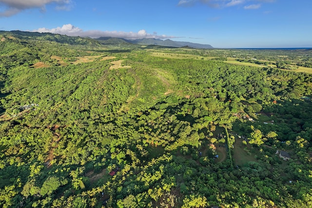 6565-C Koolau Rd, Anahola, HI 96746