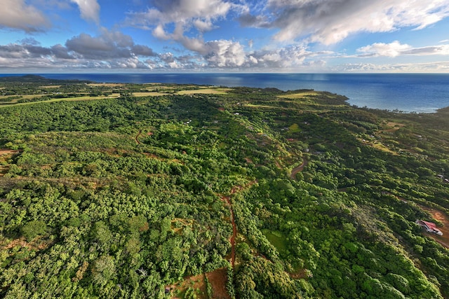 6565-C Koolau Rd, Anahola, HI 96746