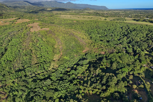 6565-C Koolau Rd, Anahola, HI 96746