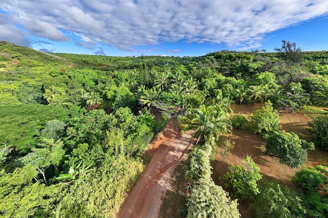 6565-C Koolau Rd, Anahola, HI 96746