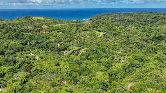 6565-C Koolau Rd, Anahola, HI 96746
