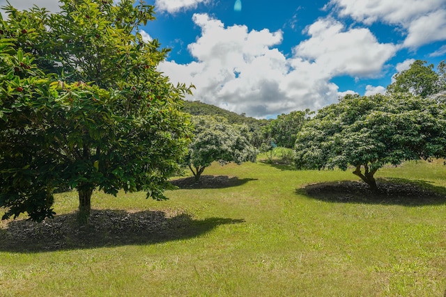 6565-C Koolau Rd, Anahola, HI 96746