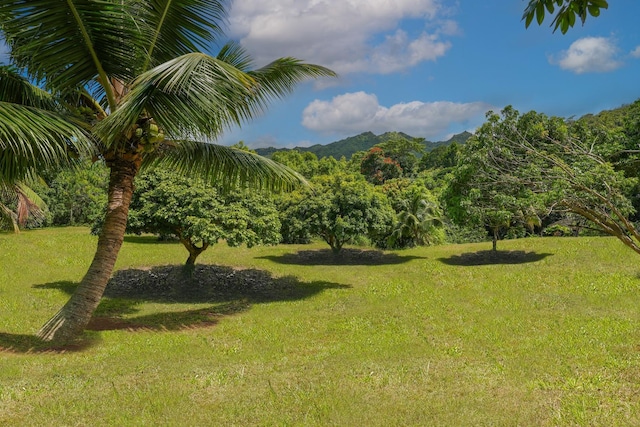 6565-C Koolau Rd, Anahola, HI 96746
