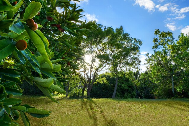 6565-C Koolau Rd, Anahola, HI 96746
