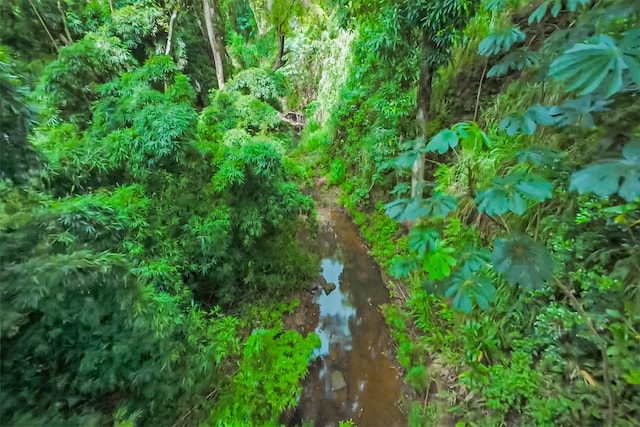 6565-C Koolau Rd, Anahola, HI 96746