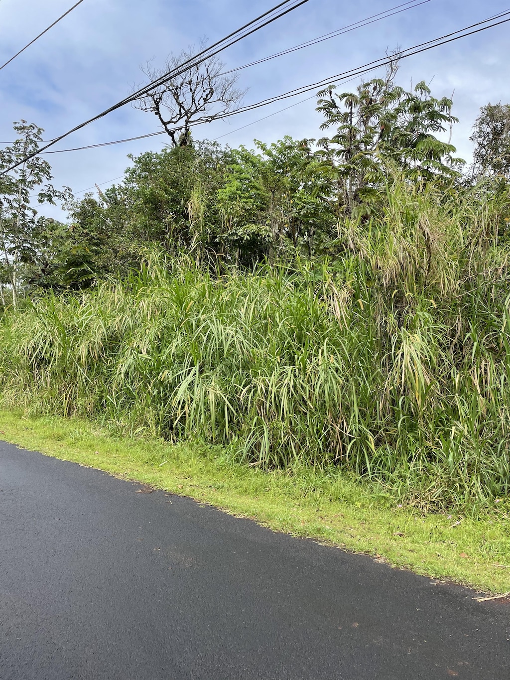 Alapai St, Pahoa, HI 96778