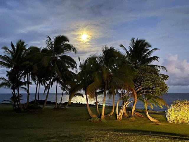 12-311 W Pohakupele Loop, Pahoa, HI 96778 - water view
