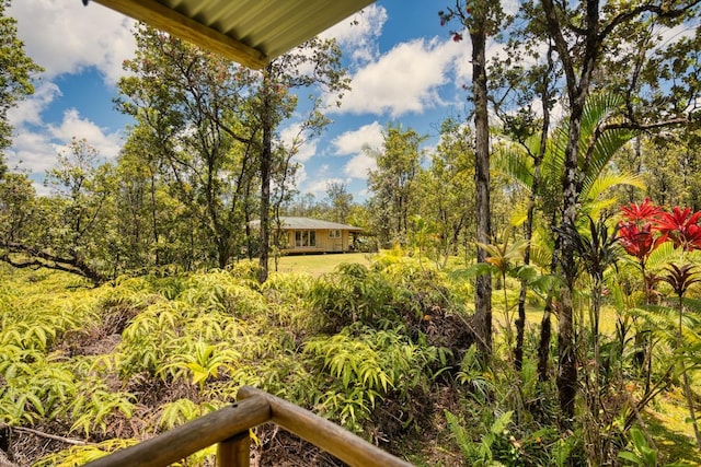 11-2860 Apele Rd, Mountain View, HI 96771 - view of yard