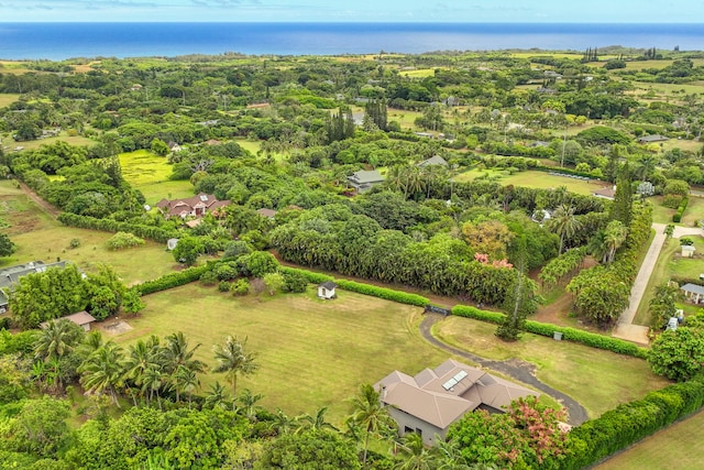 4564 Kapuna Rd, Kilauea, HI 96722 - bird's eye view of a nearby body of water and a tree filled landscape