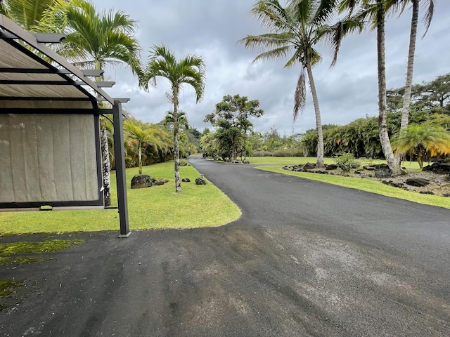 15-1765 28th Ave, Keaau, HI 96749 - view of road