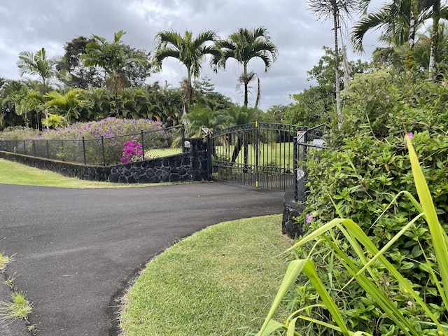 15-1765 28th Ave, Keaau, HI 96749 - view of gate