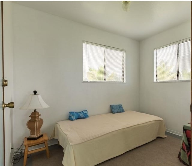 17-7860 Kulani Rd, Mountain View, HI 96771 - view of carpeted bedroom