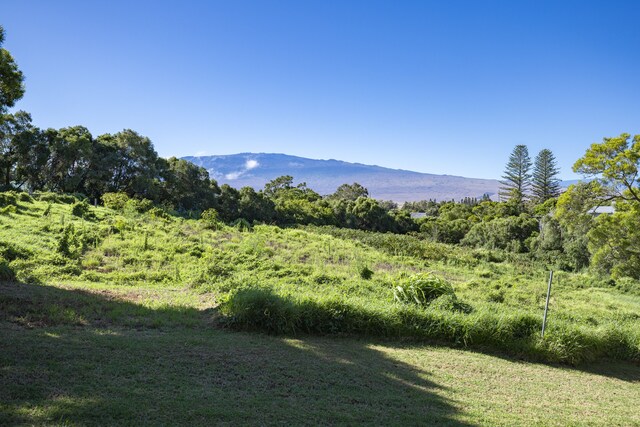 Puu Opelu Rd, Kamuela, HI 96743 - photo 7