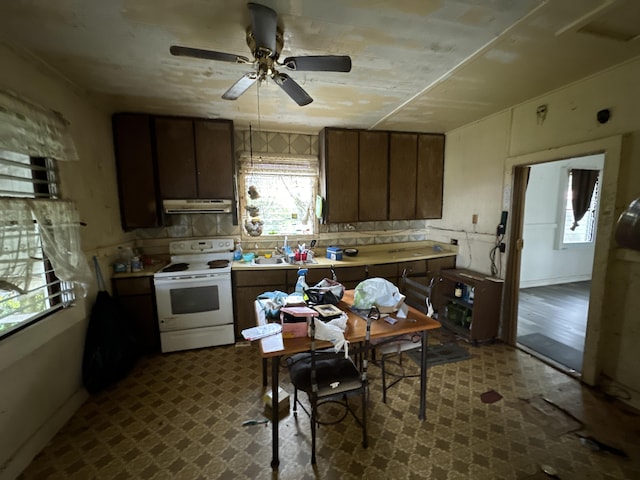27-292 Old Mamalahoa Hwy, Papaikou, HI 96781 - kitchen with white range with electric stovetop, exhaust hood, dark flooring, a ceiling fan, and light countertops