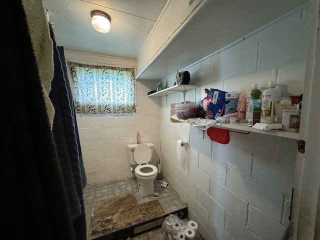 27-292 Old Mamalahoa Hwy, Papaikou, HI 96781 - bathroom with toilet and concrete block wall