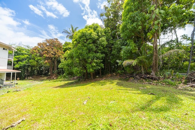 Oleole St, Pahoa, HI 96778 - photo 2