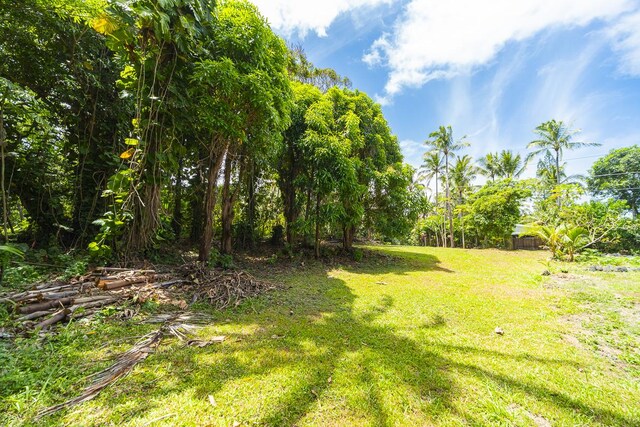 Oleole St, Pahoa, HI 96778 - photo 4