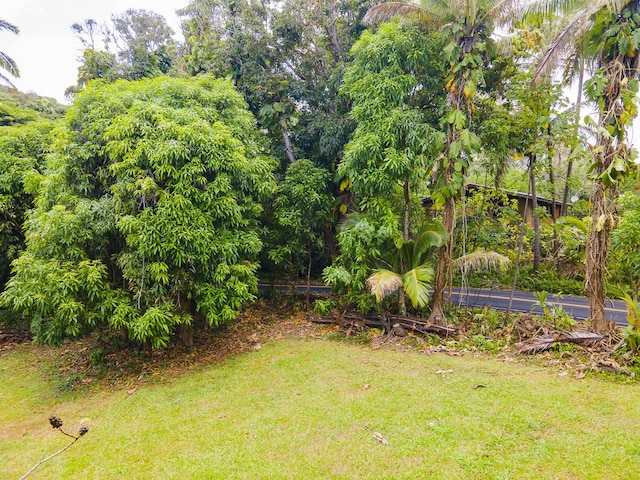 Oleole St, Pahoa, HI 96778 - photo 6
