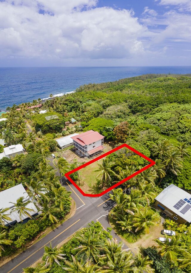 Oleole St, Pahoa, HI 96778 - photo 9