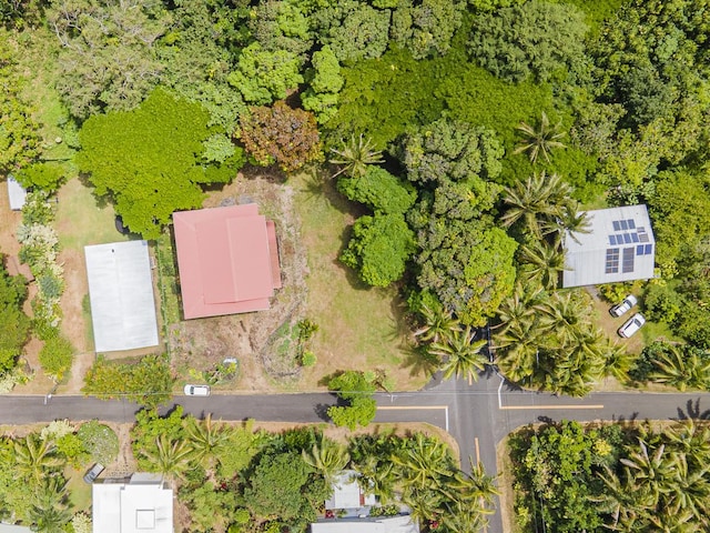 Oleole St, Pahoa, HI 96778 - photo 10