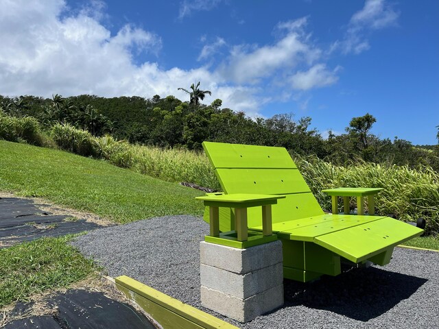 36-3352 Kuwili Lani Pl, Laupahoehoe, HI 96764