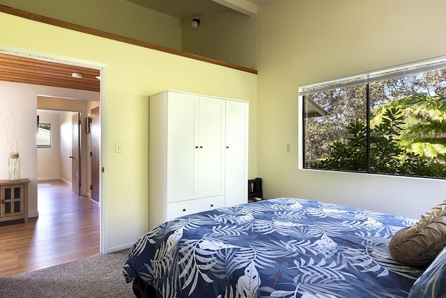 99-7715 Kalehua Pl, Volcano, HI 96778 - carpeted bedroom featuring a closet