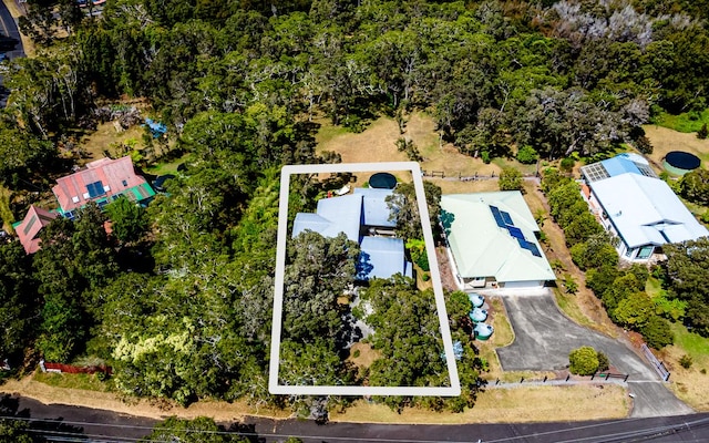 99-7715 Kalehua Pl, Volcano, HI 96778 - view of property location with property boundaries highlighted