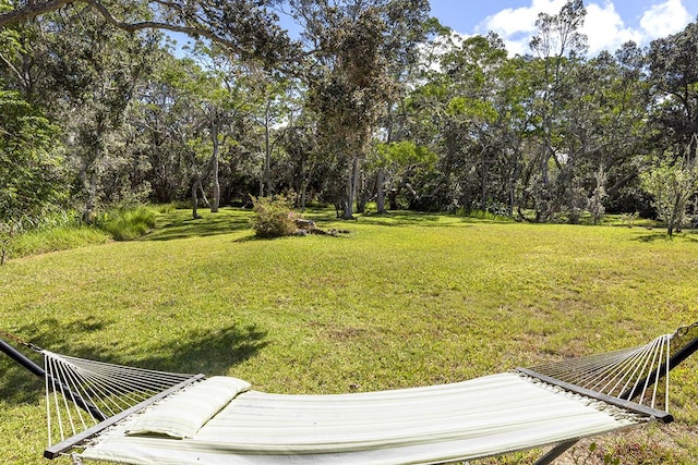 99-7715 Kalehua Pl, Volcano, HI 96778 - view of grassy yard