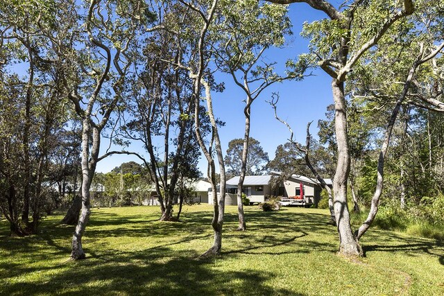 99-7715 Kalehua Pl, Volcano, HI 96778 - view of grassy yard