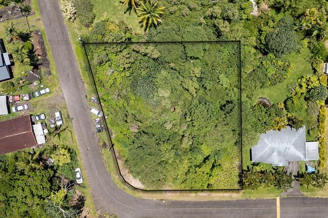 Ainaloa Way, Pahoa, HI 96778