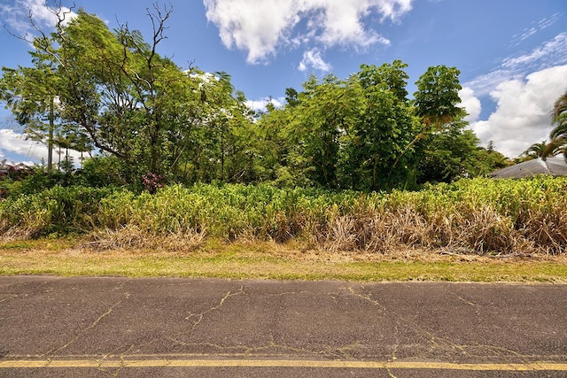 Ainaloa Way, Pahoa, HI 96778