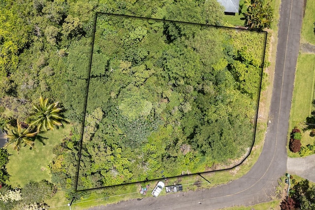 Ainaloa Way, Pahoa, HI 96778