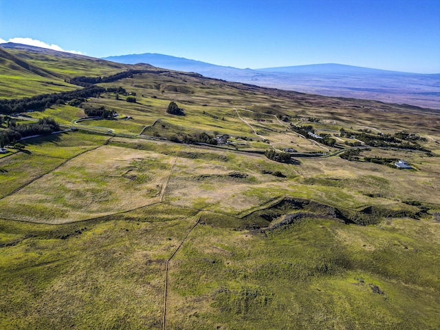 59-1745 Kohala Ranch Rd, Kamuela, HI 96743 - photo 10