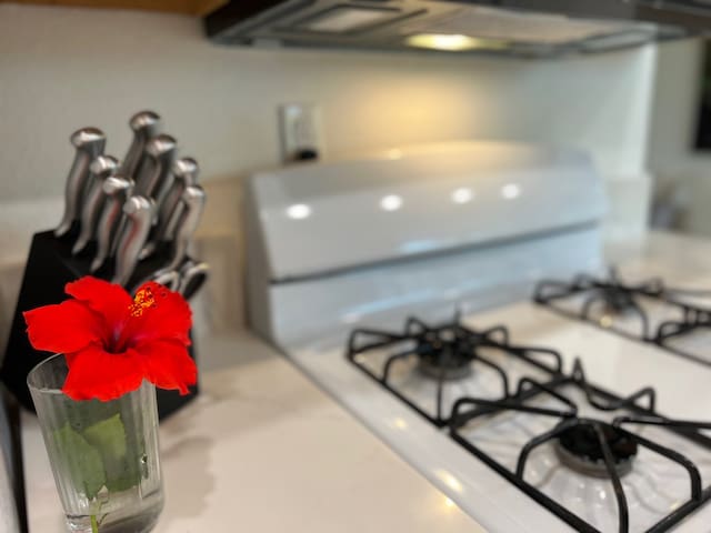 74-5618 Palani Rd Unit M6, Kailua-Kona, HI 96740 - kitchen view of gas range gas stove