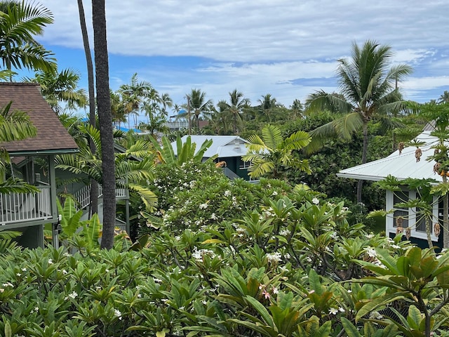 75-5776 Kuakini Hwy Unit 339, Kailua-Kona, HI 96740 - view of yard
