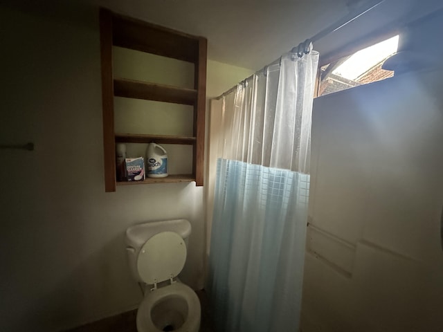 16-1909 36th Ave, Keaau, HI 96749 - bathroom with toilet and curtained shower