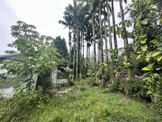 16-1909 36th Ave, Keaau, HI 96749 - view of yard