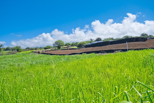 81-482 Mohalahala Pl, Kealakekua, HI 96750