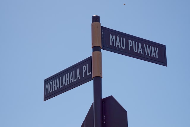 81-482 Mohalahala Pl, Kealakekua, HI 96750