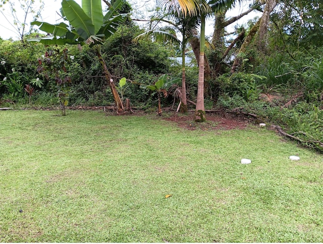 18-7856 Ekika Rd, Mountain View, HI 96771 - view of green lawn
