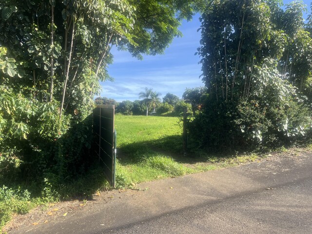 75-821 Hiona St, Holualoa, HI 96725
