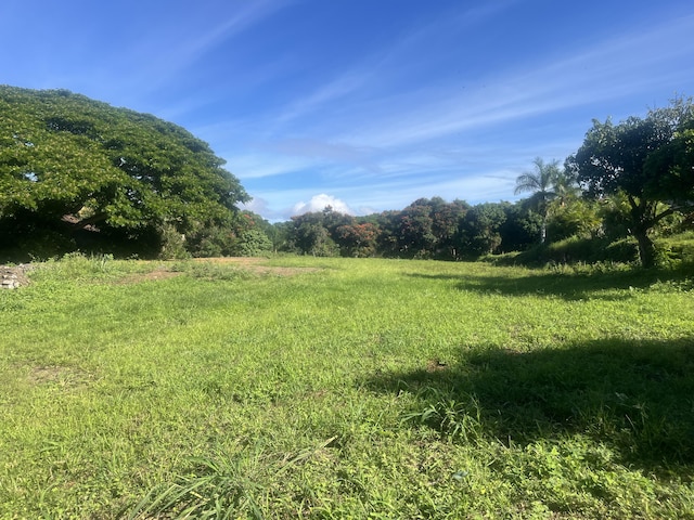 75-821 Hiona St, Holualoa, HI 96725