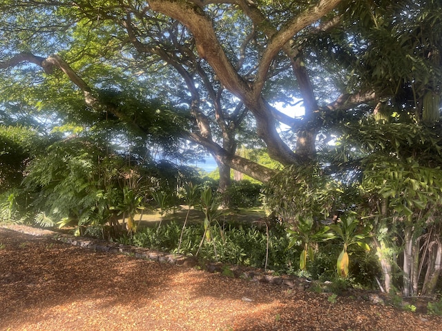 75-821 Hiona St, Holualoa, HI 96725
