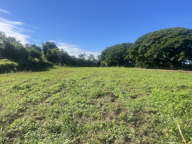 75-821 Hiona St, Holualoa, HI 96725