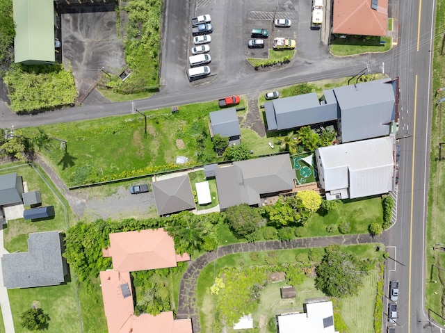 45-3396 Mamane St, Honokaa, HI 96727 - photo 30
