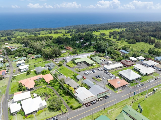 45-3396 Mamane St, Honokaa, HI 96727 - photo 29